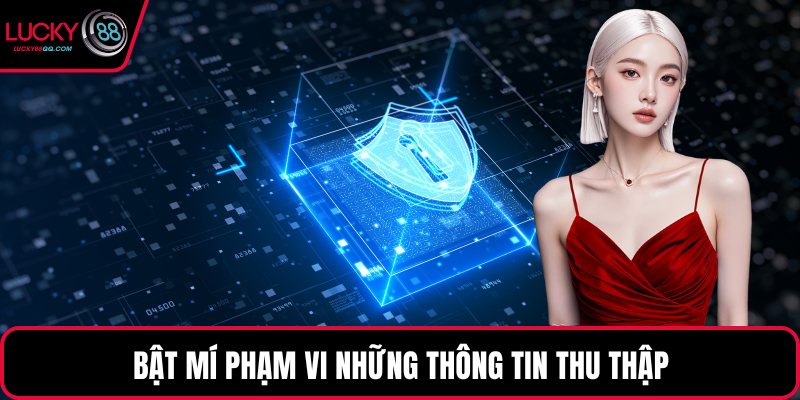 Bật mí phạm vi những thông tin thu thập