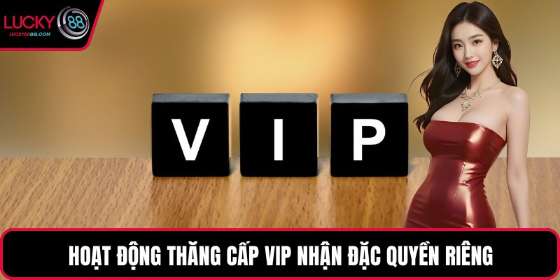 Hoạt động thăng cấp VIP nhận đặc quyền riêng
